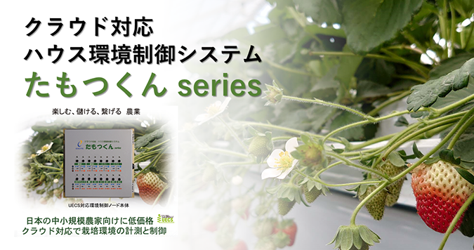 株式会社エキサイト あらゆる情報化ニーズに確かな技術でお応えするシステムインテグレータ